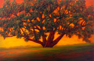 Another Point of View